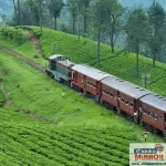 நுவரெலியாவில் பனிப்பொழிவு வாய்ப்பு; பல மாகாணங்களில் பனிமூட்டம்