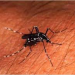 அடையாளத்தை விற்று நவீனத்துவம் தேவையில்லை!” – கல்விச் சீர்திருத்தம் குறித்து சஜித் அதிரடி.