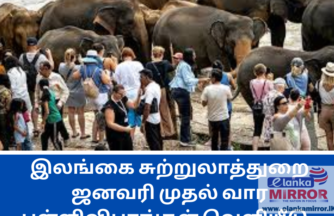 tourists in sri lanka