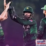 புதிய மின் மோட்டார் காப்பீட்டு அட்டை அறிமுகம்