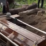 நாளை முதல் பேருந்து கட்டணங்கள் 12.19% ஆல் அதிகரிப்பு